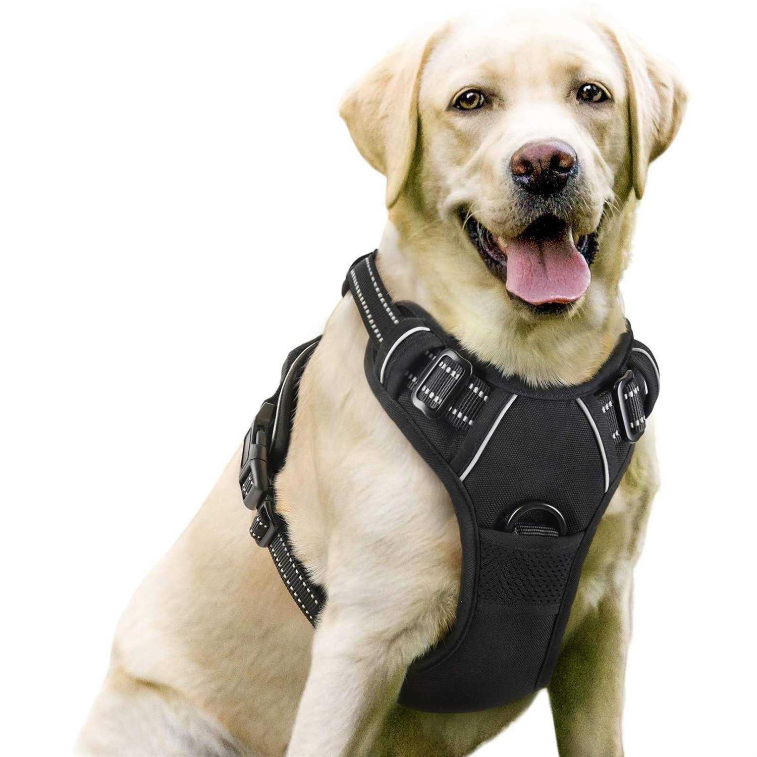 rabbitgoo Dog Harness No Pull Pet Harness with 2 Leash Clips Adjustable Soft Padded Dog Vest