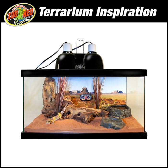 Zoo Med ReptiHabitat Desert Starter Kit