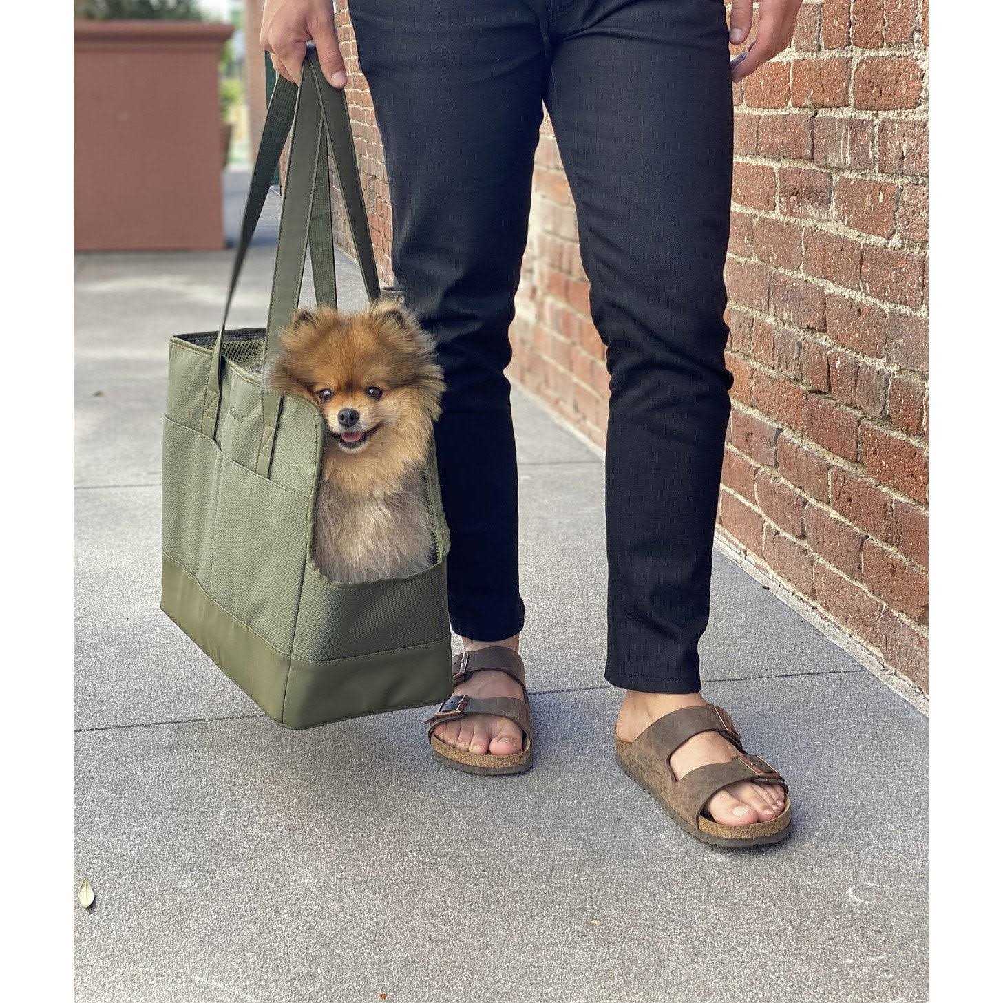 Pet Tote Bag for Small Dogs and Cats by Oskar&Friends