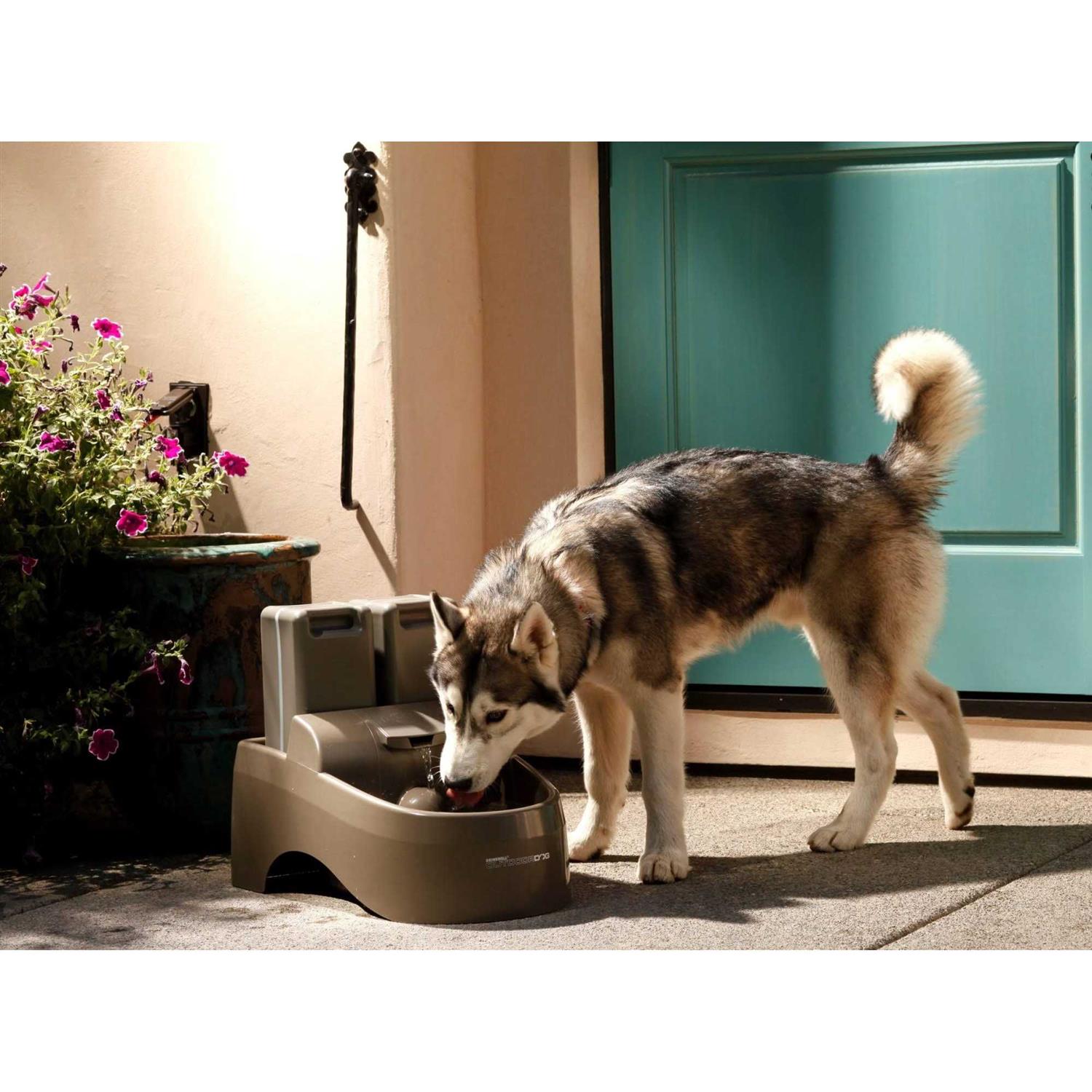 PetSafe Drinkwell Outdoor Dog Fountain