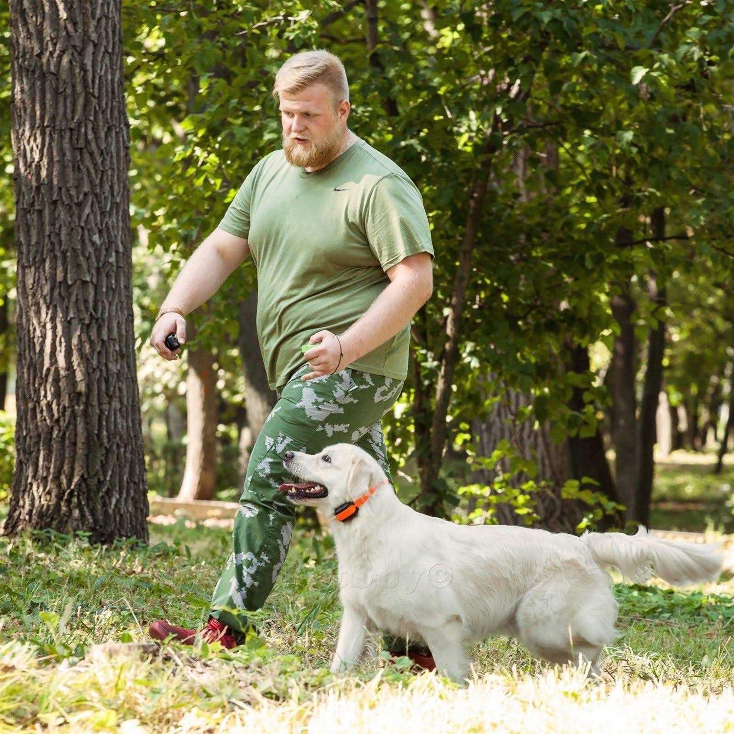 PetSpy Dual Dog Training Shock Collar for 2 Dogs with Beep Vibration and ELECTR
