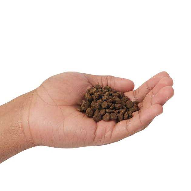 Farmina N&D Prime Grain Free Cat Dry Food Lamb & Blueberry