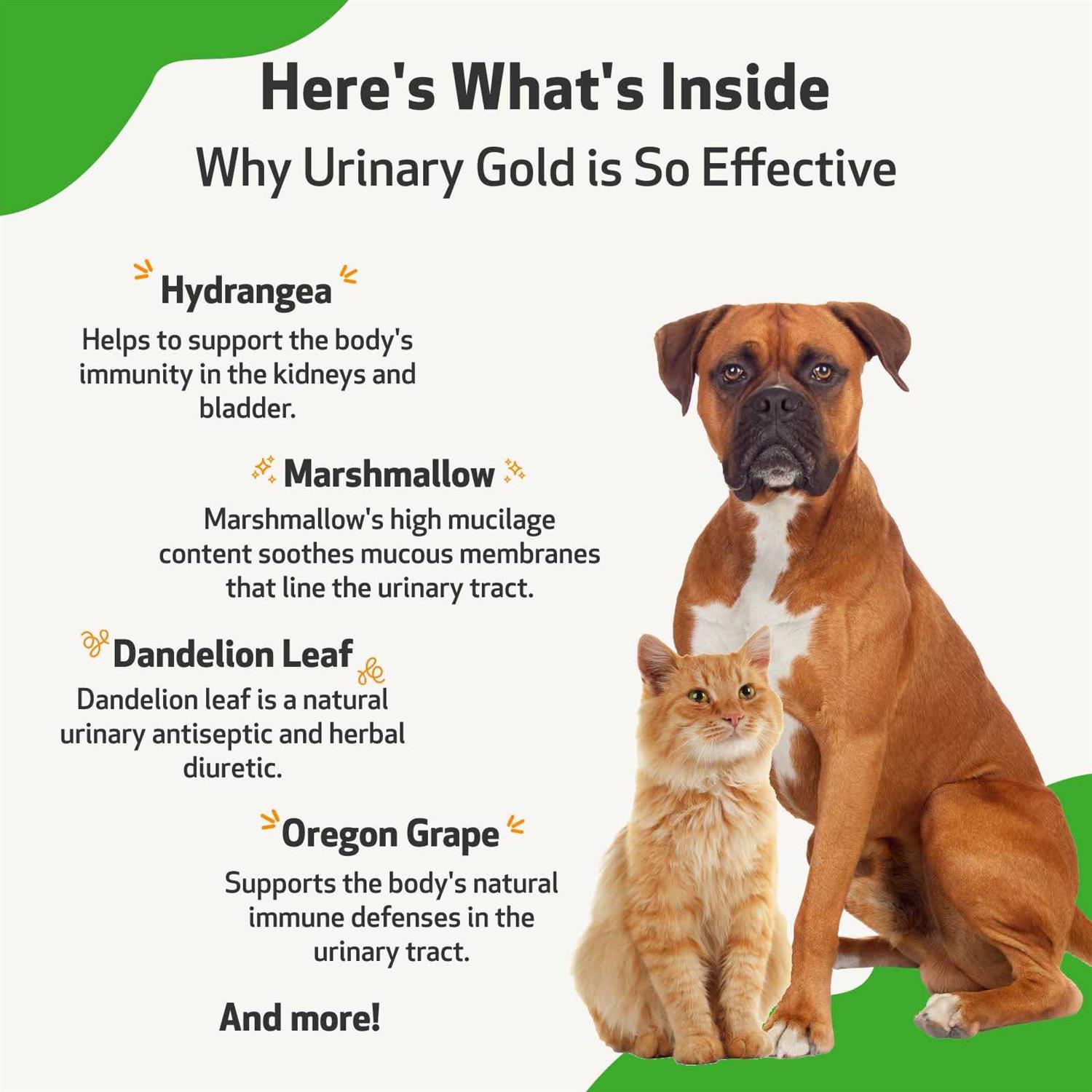 Pet Wellbeing Urinary Gold Urinary Tract Health