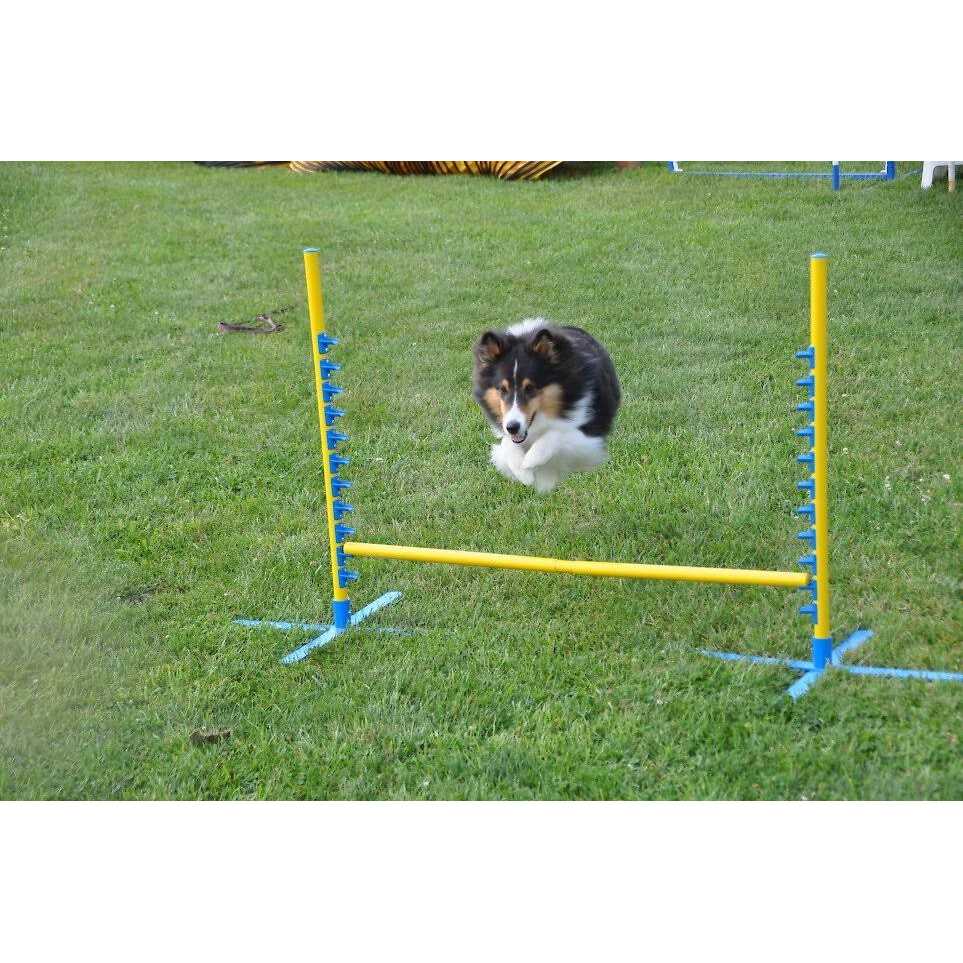 Cool Runners Agility PVA Dog Training Pedestal Jump