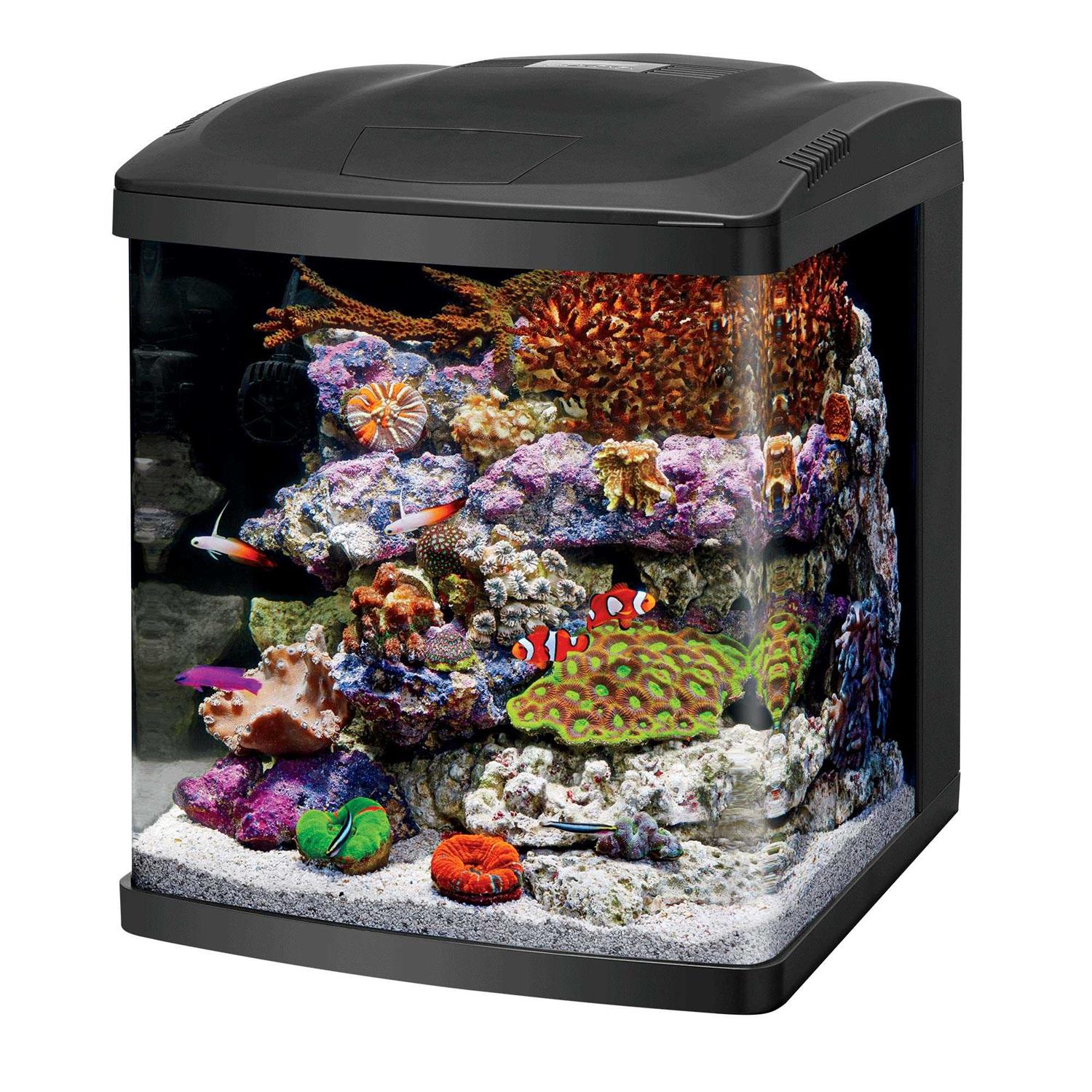 Coralife LED BioCube Aquarium Fish Tank Kit, 16 Gallon