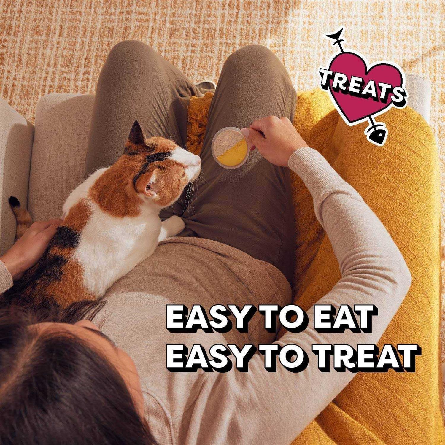 Temptations Lickable Spoons Cat Treats