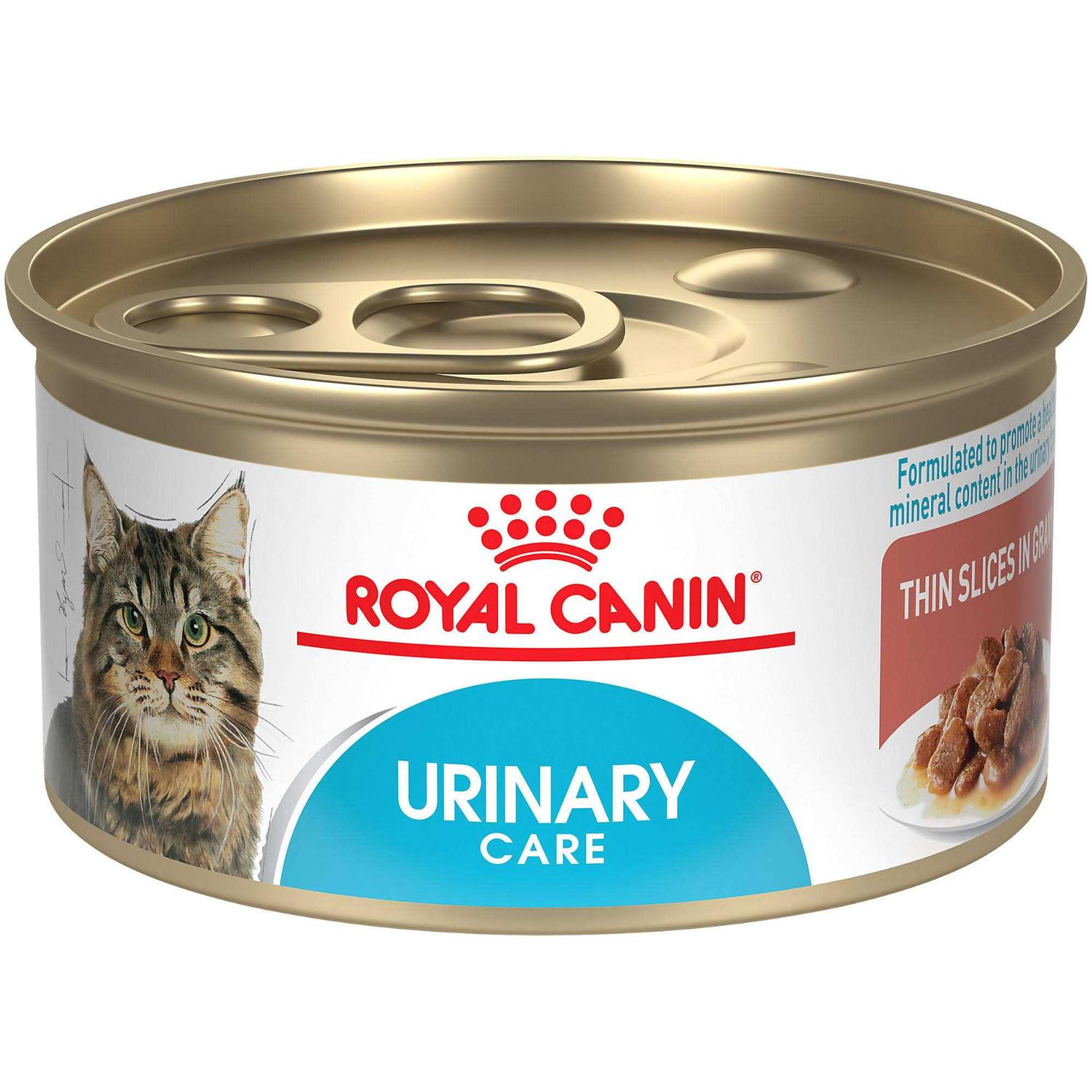 Royal Canin Feline Care Nutrition Urinary Care Thin Slices in Gravy Wet Cat Food