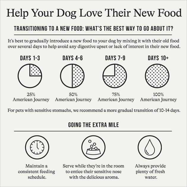 American Journey u0026 Brown Rice Protein First Recipe Dry Dog Food