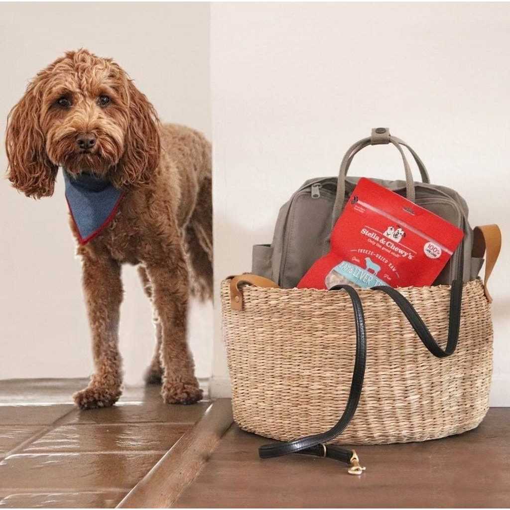 Stella & Chewy’s Beef Freeze Dried Dog Treats