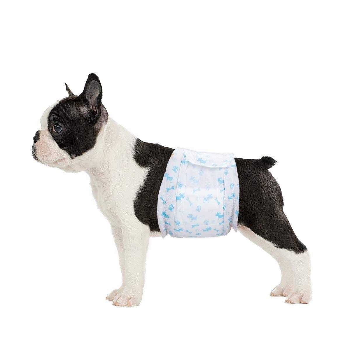 Flying Paws Male Dog Diapers Absorbent Male Dog Wraps Belly Bands for Male Dogs with Leak Protection, Excitable Urination, Incontinence, or Male