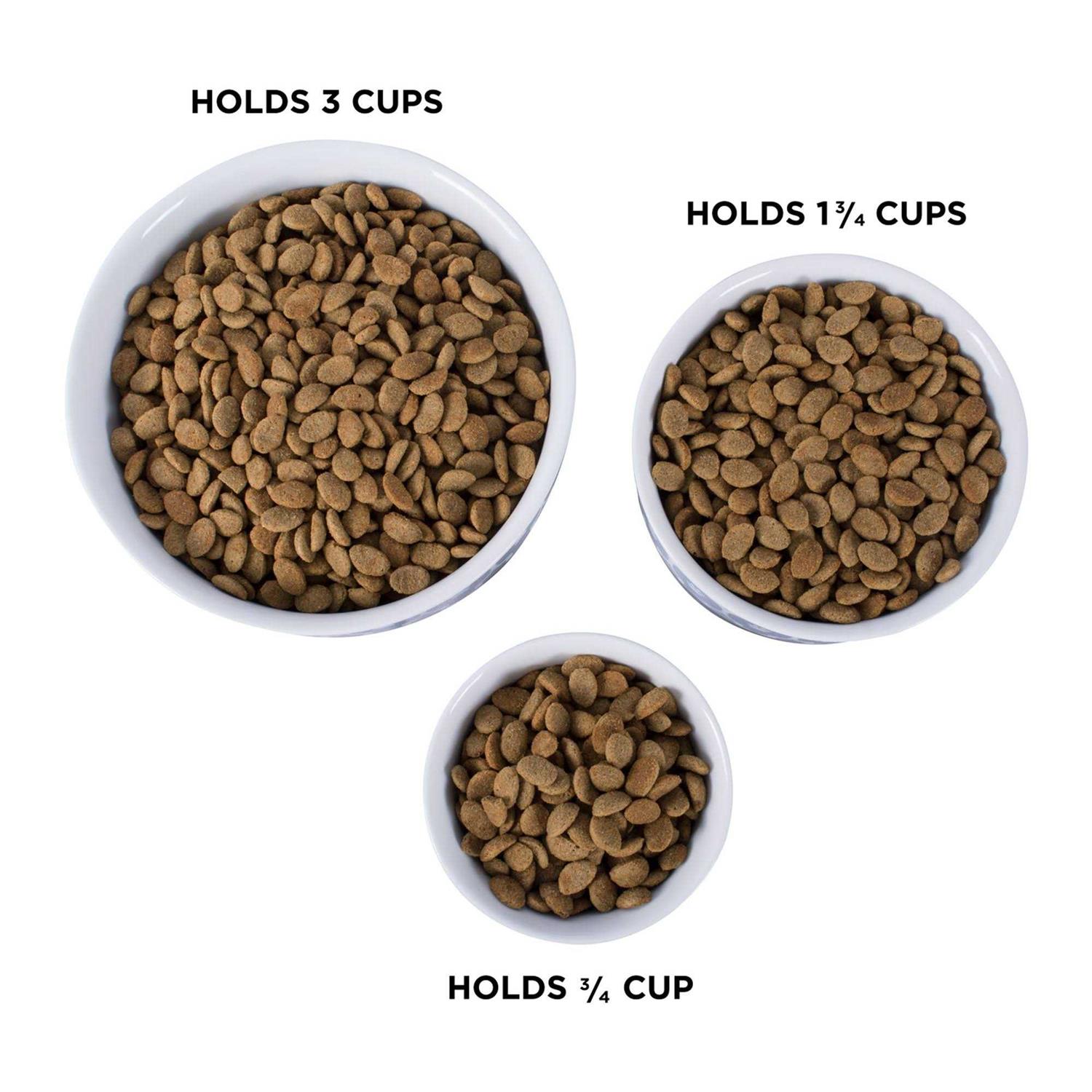 Bone Dry Paw Patch Pet Bowl