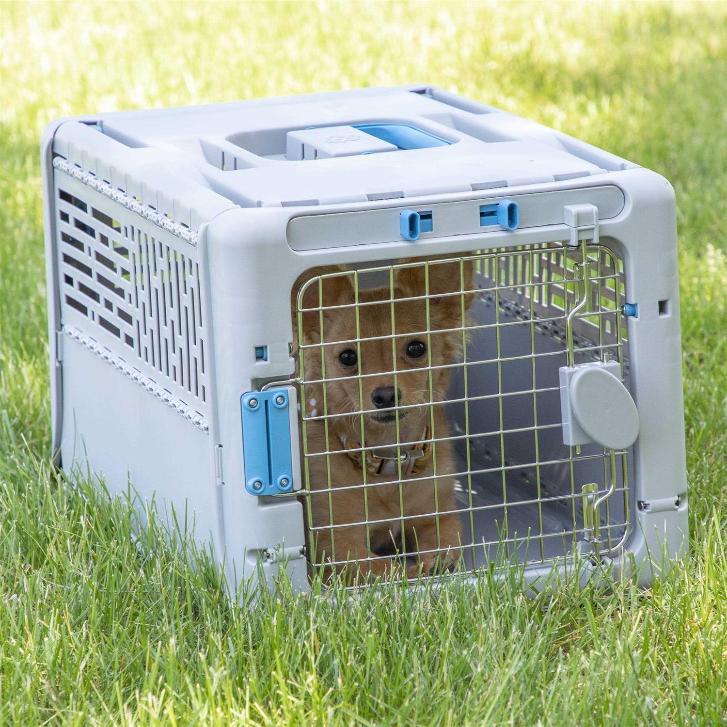 SportPet Designs Sportpet Collapsible Plastic Dog Kennel