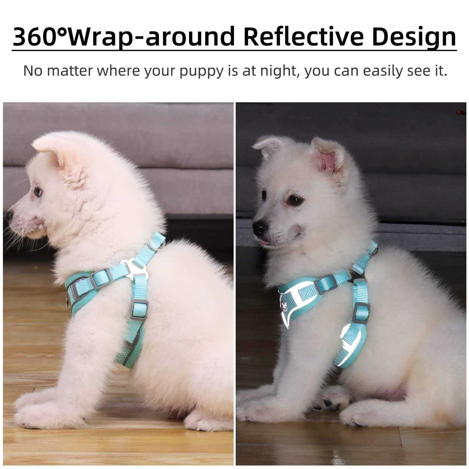 rennaio Dog Harness No Pull, Adjustable Puppy Harness with 2 Leash Clips, Ultra Padded Dog Vest Harness, Reflective Dog Harness and Leash