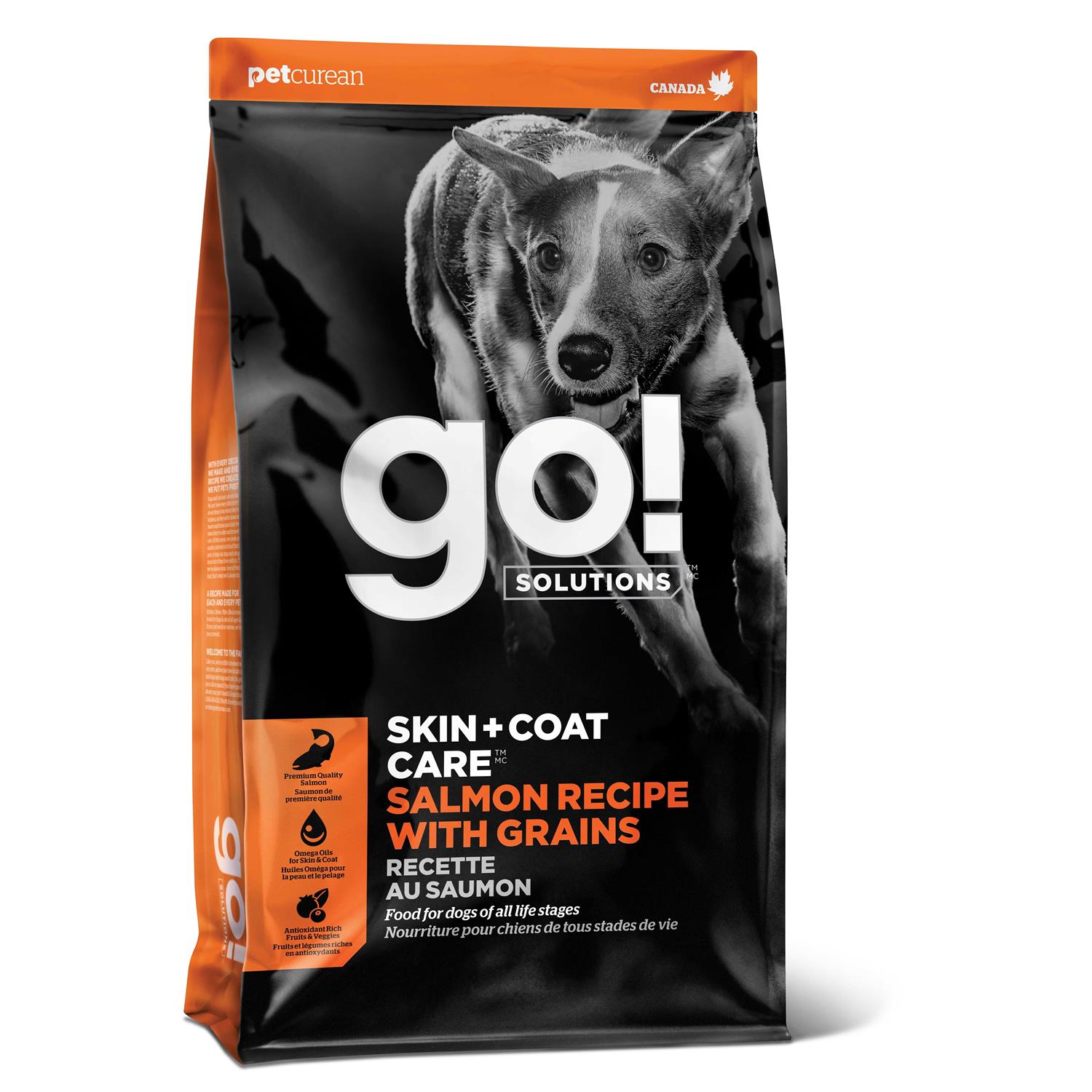 Go! Solutions Skin + Coat Care Salmon Recipe Dry Dog Food