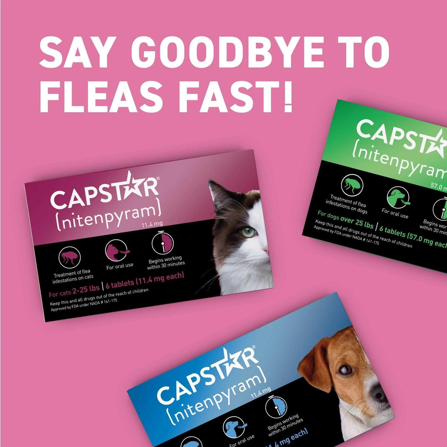 Capstar Flea Tablets for Cats 2-25 lbs