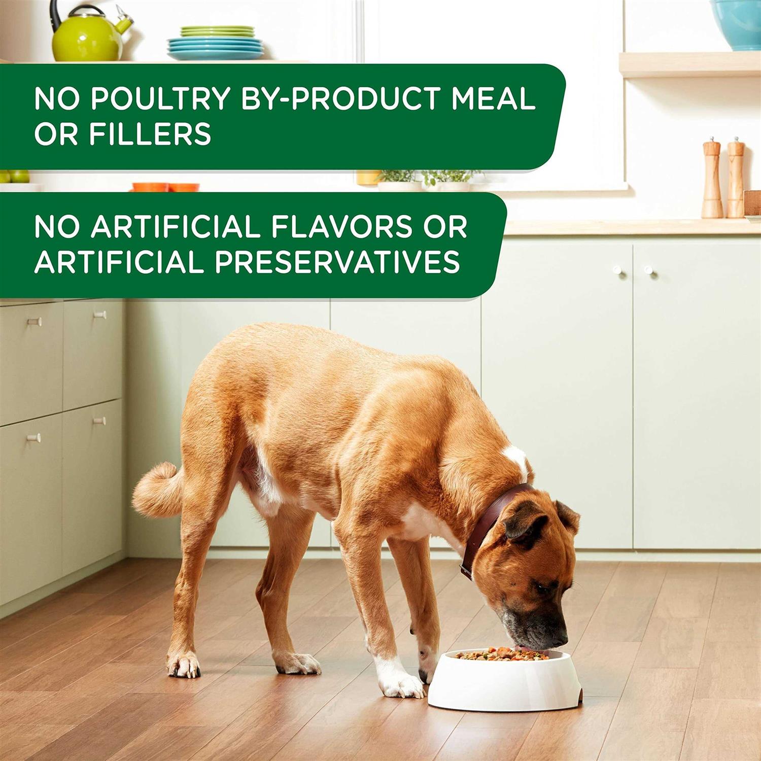 Rachael Ray Nutrish Wet Dog Food Chicken & Apple