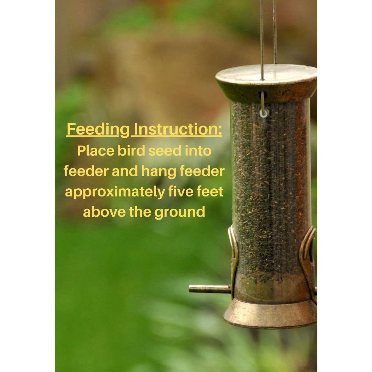 Premium Sterilized Natural Black Thistle Seed