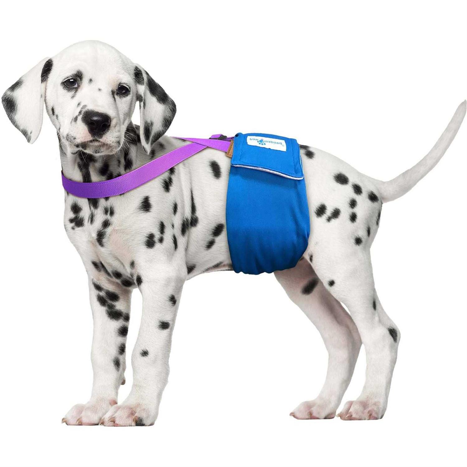 Paw Inspired Dog Diaper Suspenders