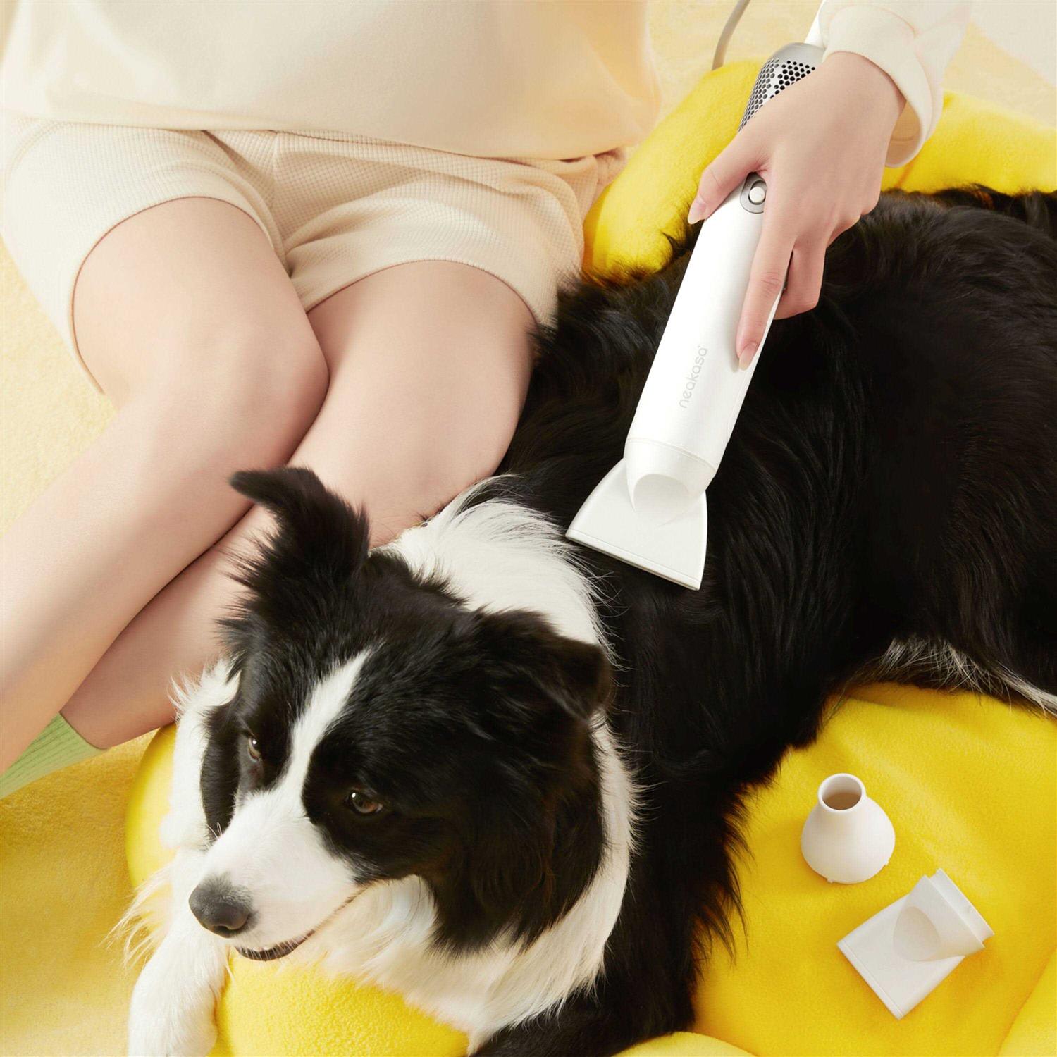 F1 Pet Dryer Neakasa