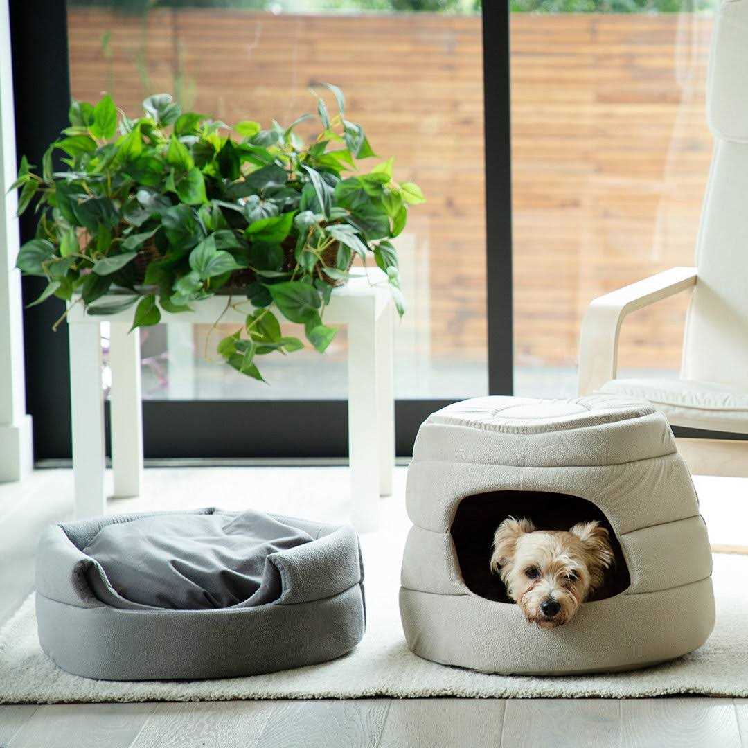 Best Friends by Sheri 2-in-1 Honeycomb Hut-Cuddler