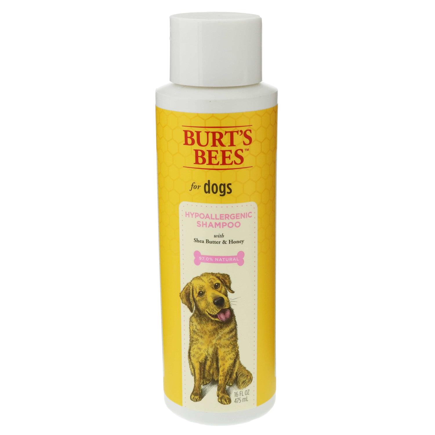 Burt’s Bees Shampoo