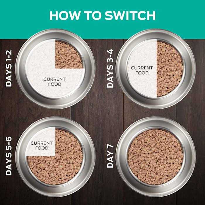 Purina Pro Plan Veterinary Diets EN Gastroenteric Formula Canned Dog Food