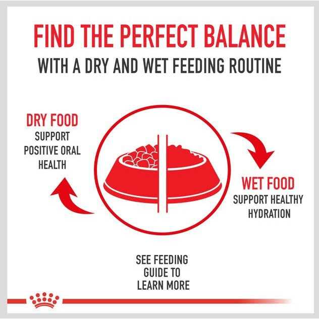 Royal Canin Veterinary Diet Urinary SO Aging 7+ Dry Dog Food