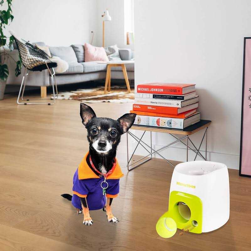 All for Paws Interactive Fetch-N-Treat Dog Toy