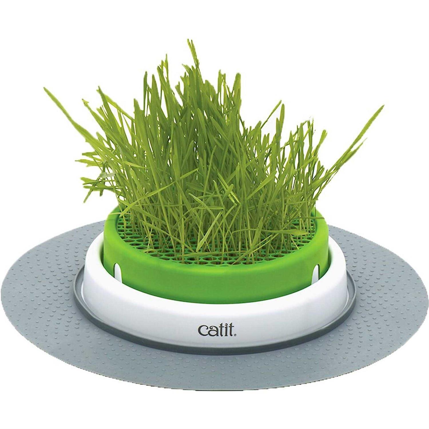 Catit Senses 2.0 Grass Planter