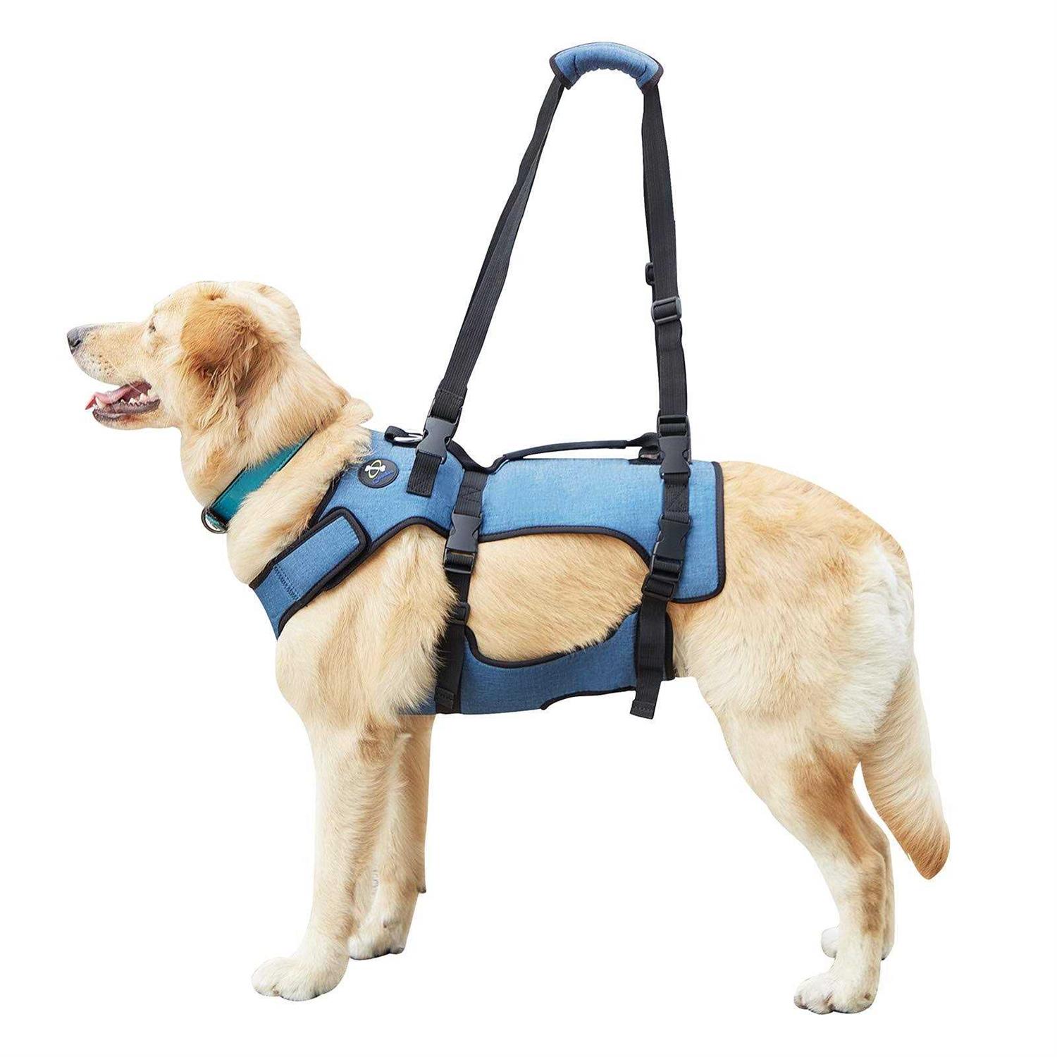 Coodeo Dog Lift Harness Support & Recovery Sling Pet Rehabilitation Lifts Vest Adjustable Breathable Straps for Old