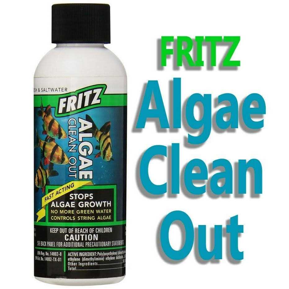 Fritz Algae Clean Out