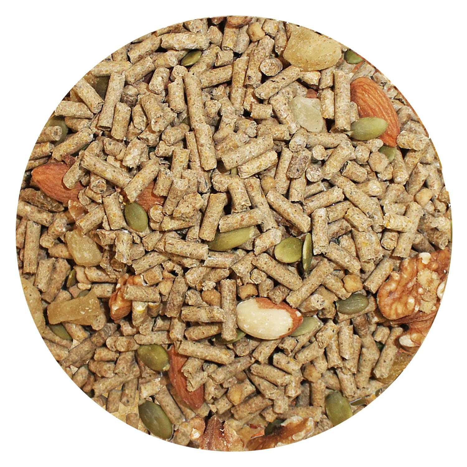 Exotic Nutrition Deluxe Diet Squirrel Food