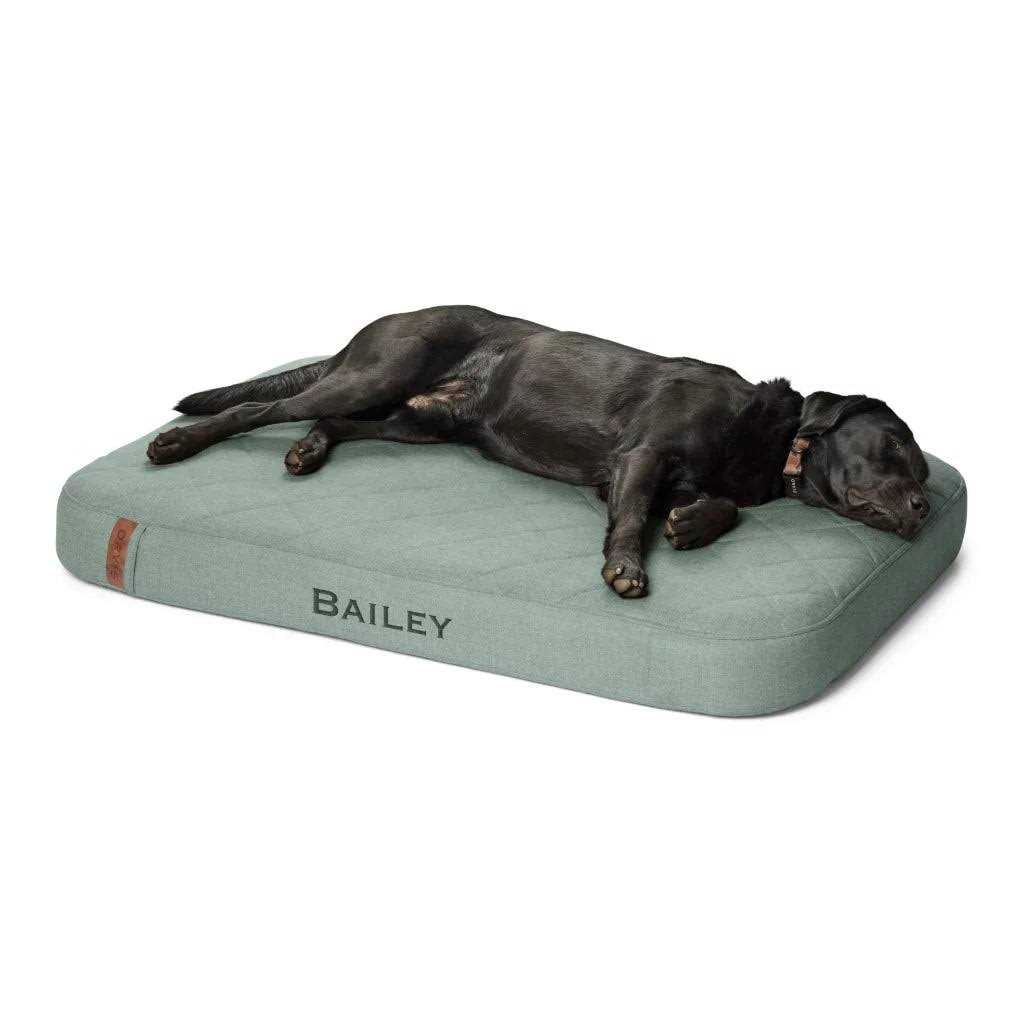 Orvis RecoveryZone Lounger Dog Bed