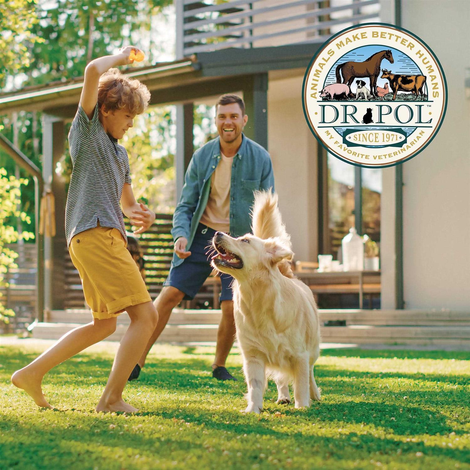 Dr. Pol Healthy Balance Chicken Recipe Dry Dog Food