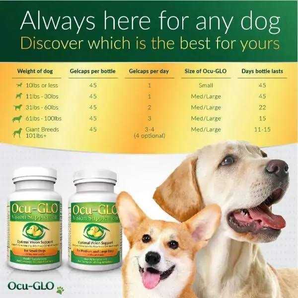 Ocu-gLO for Medium to Large Dogs