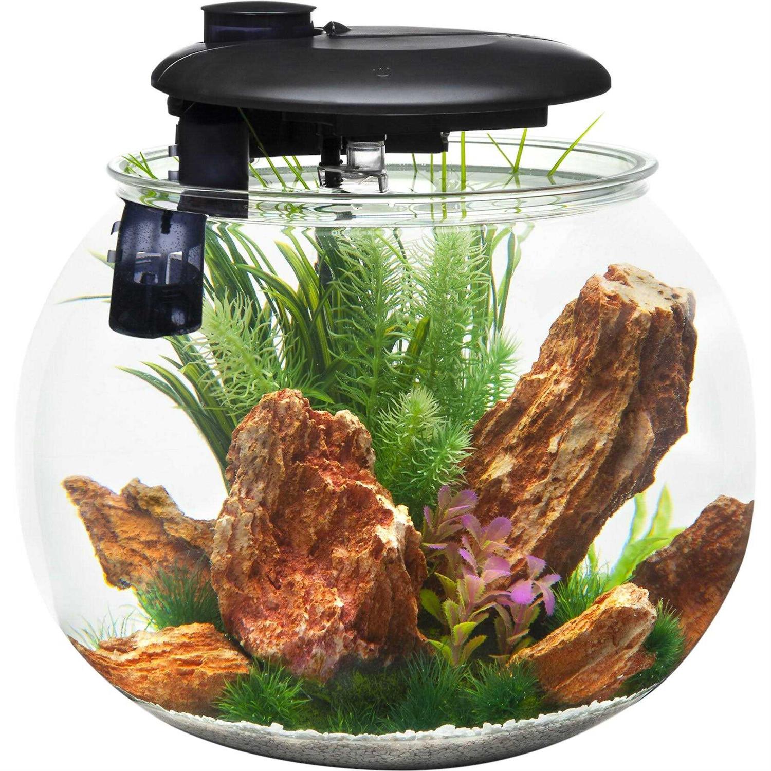 Penn-Plax Aquasphere 360 Polycarbonate Bowl-Shaped Aquarium 14 Gallon