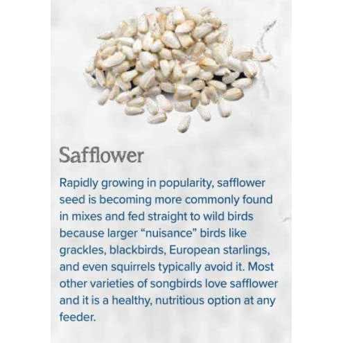 CountryMax Backyard Seeds Safflower Bird Seed for Cardinals