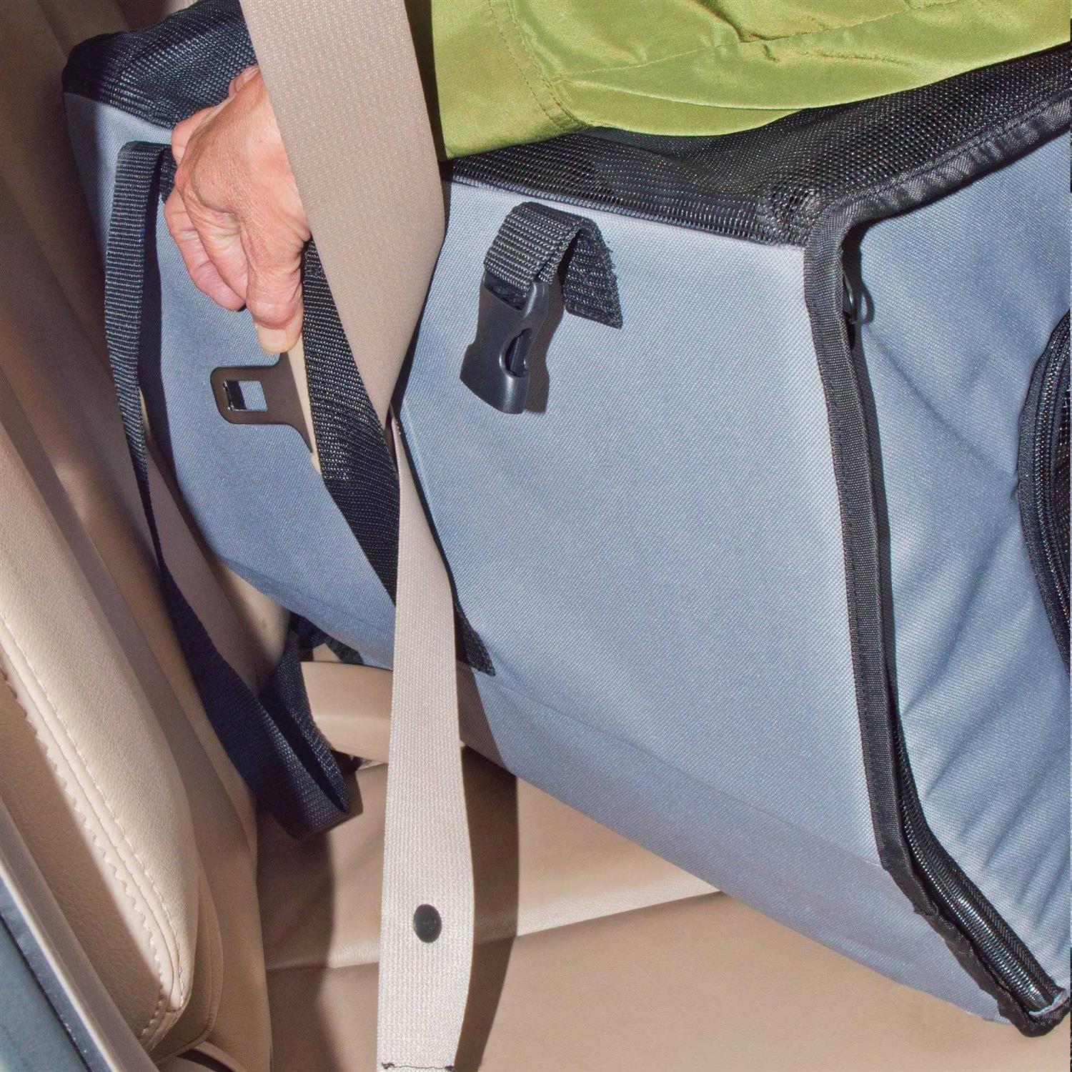 K H Pet Travel Safety Carrier