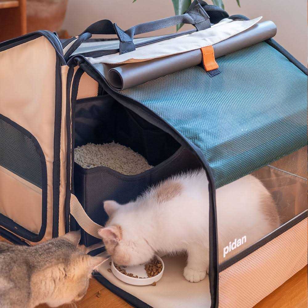 Pidan Expandable Travel Habitat Carrier For Cats and Small Dogs