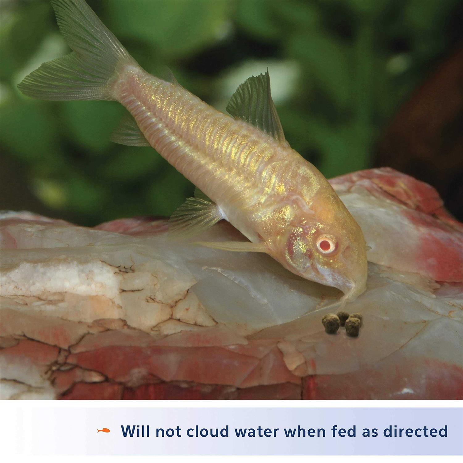 Aqueon Shrimp Pellets