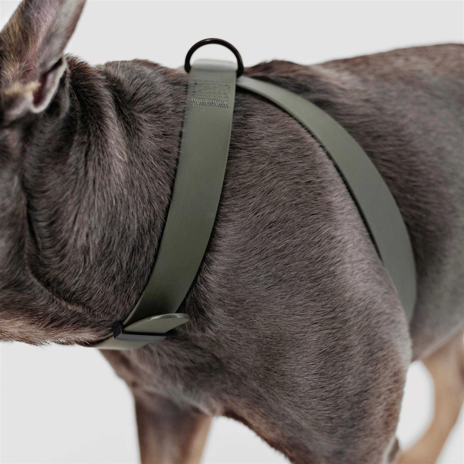 Lambwolf OTTO Dog Harness Dog Leash