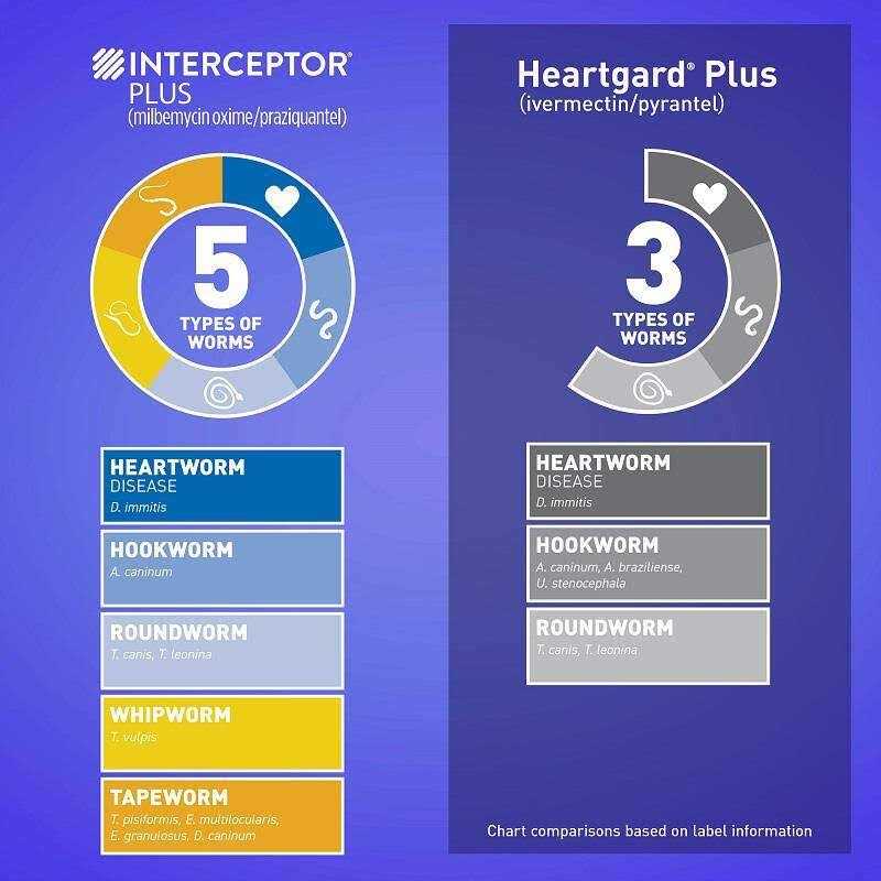 Interceptor Plus for Dogs