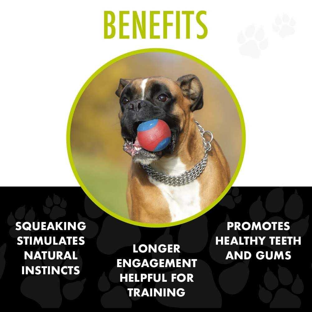 Hero Outer Armor Ball Dog Toy