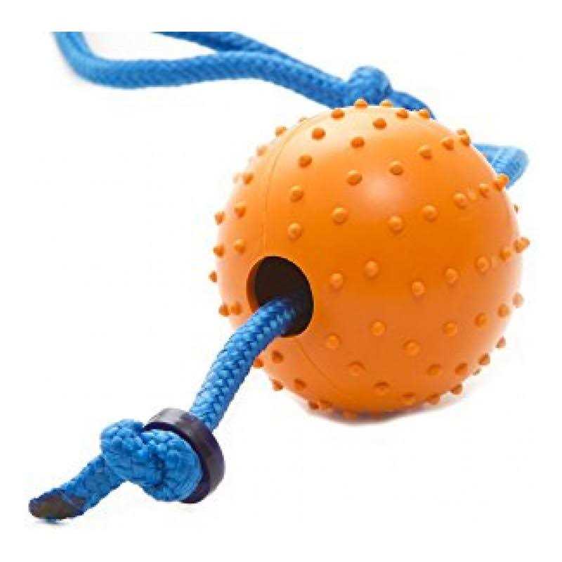 Harry Potter Snitch Pet Squeaker Toy