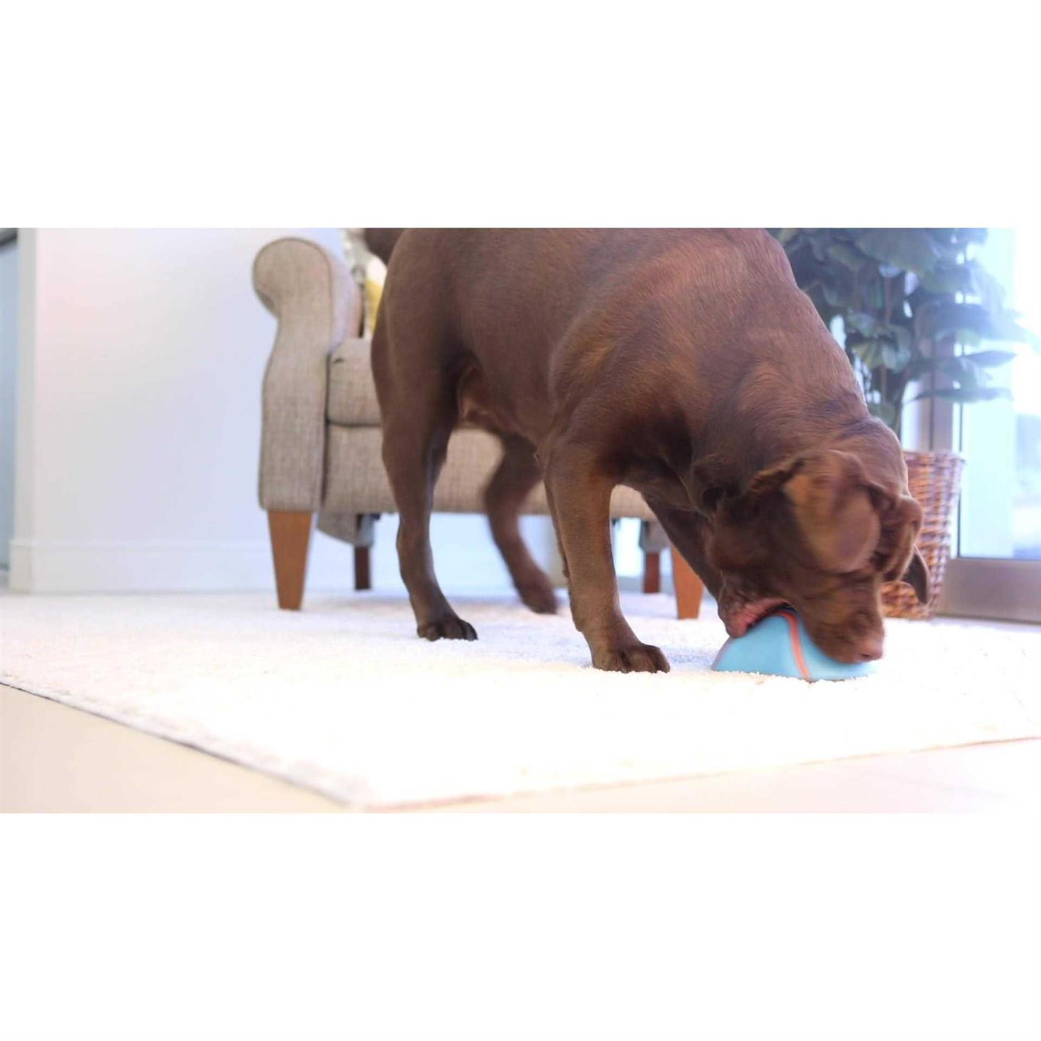 Chuckit! Indoor Super Slider Dog Toy