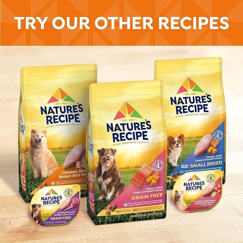 Nature’s Recipe Grain Free Chicken Dry Dog Food