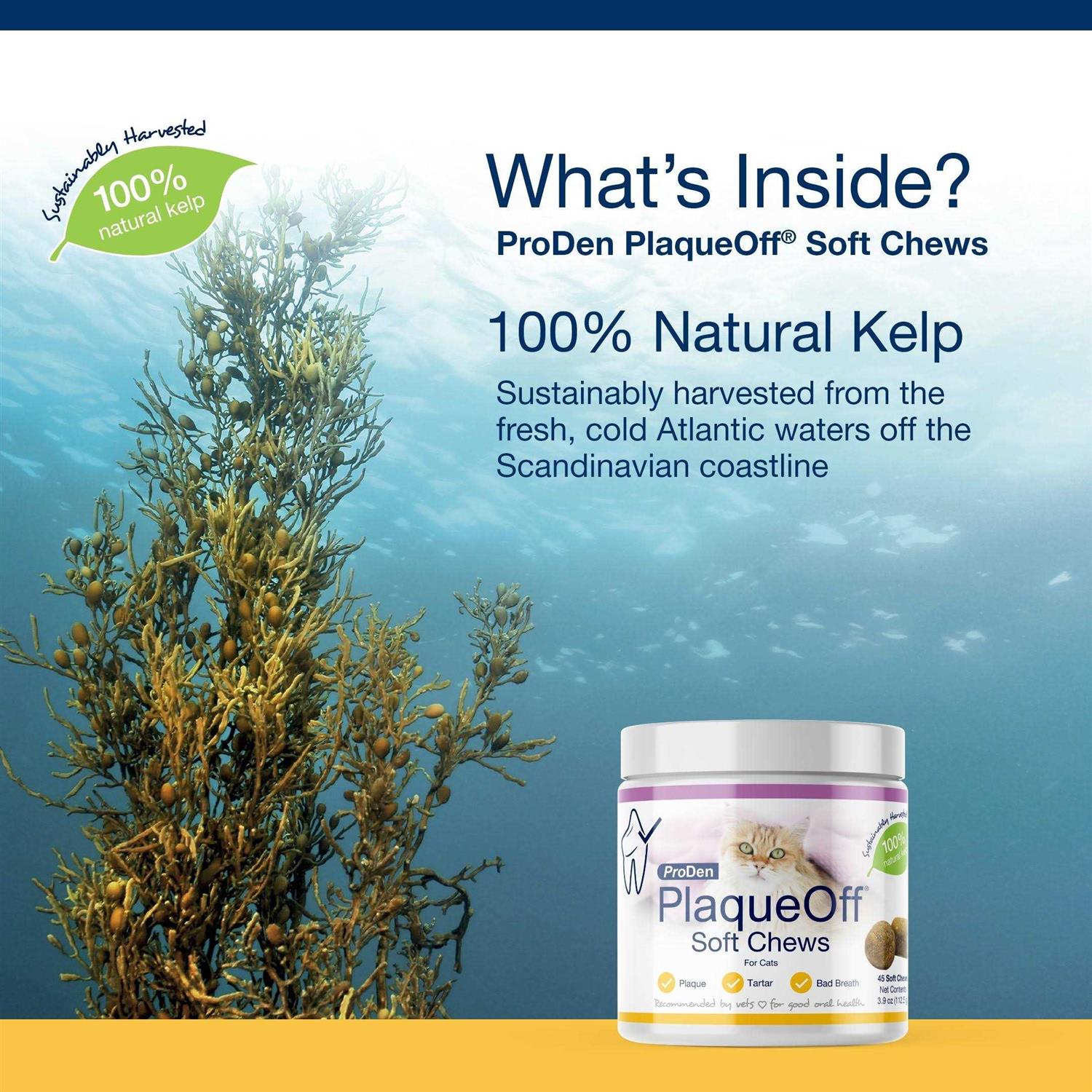 ProDen PlaqueOff Soft Chews for Cats