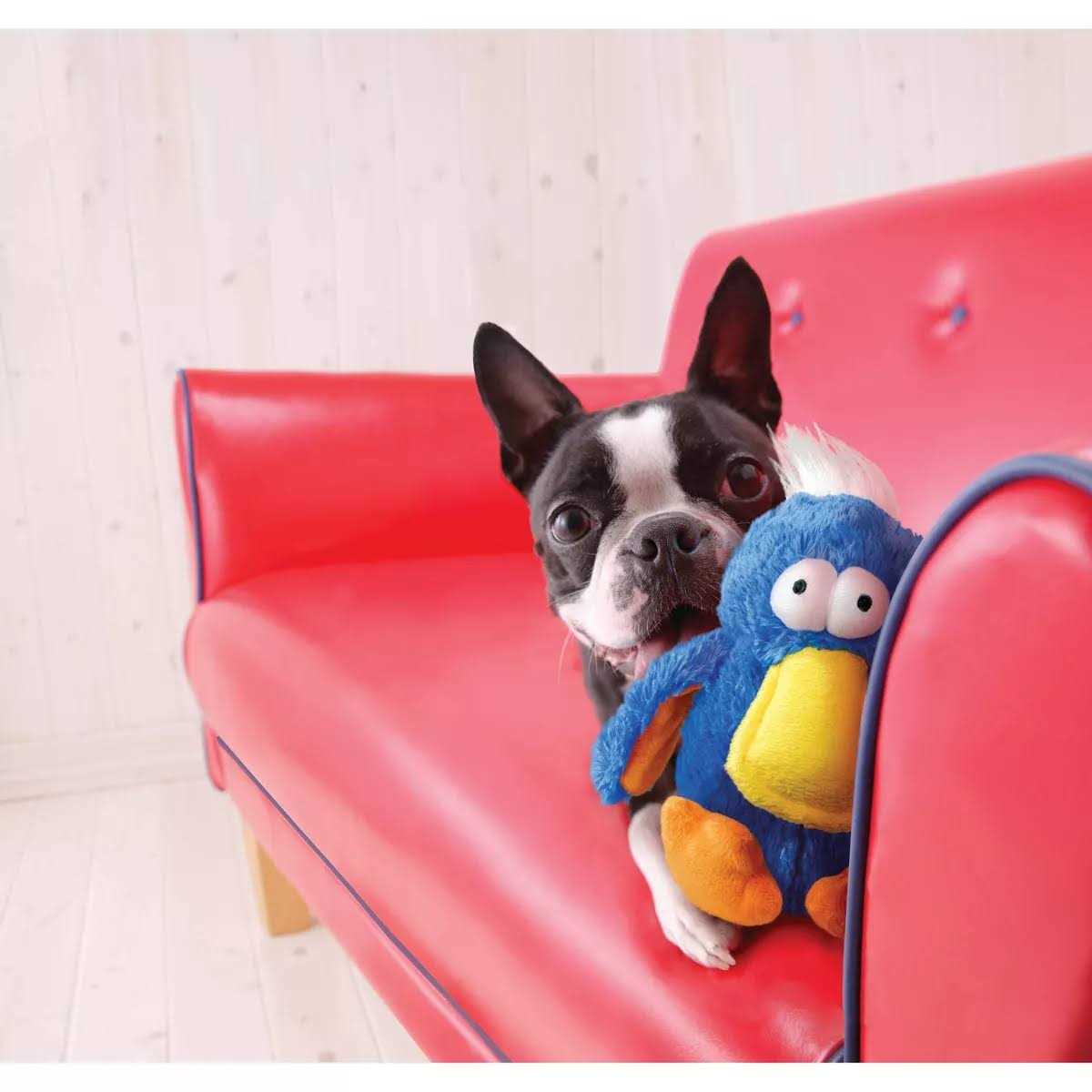 Kong Dodo Bird Dog Toy