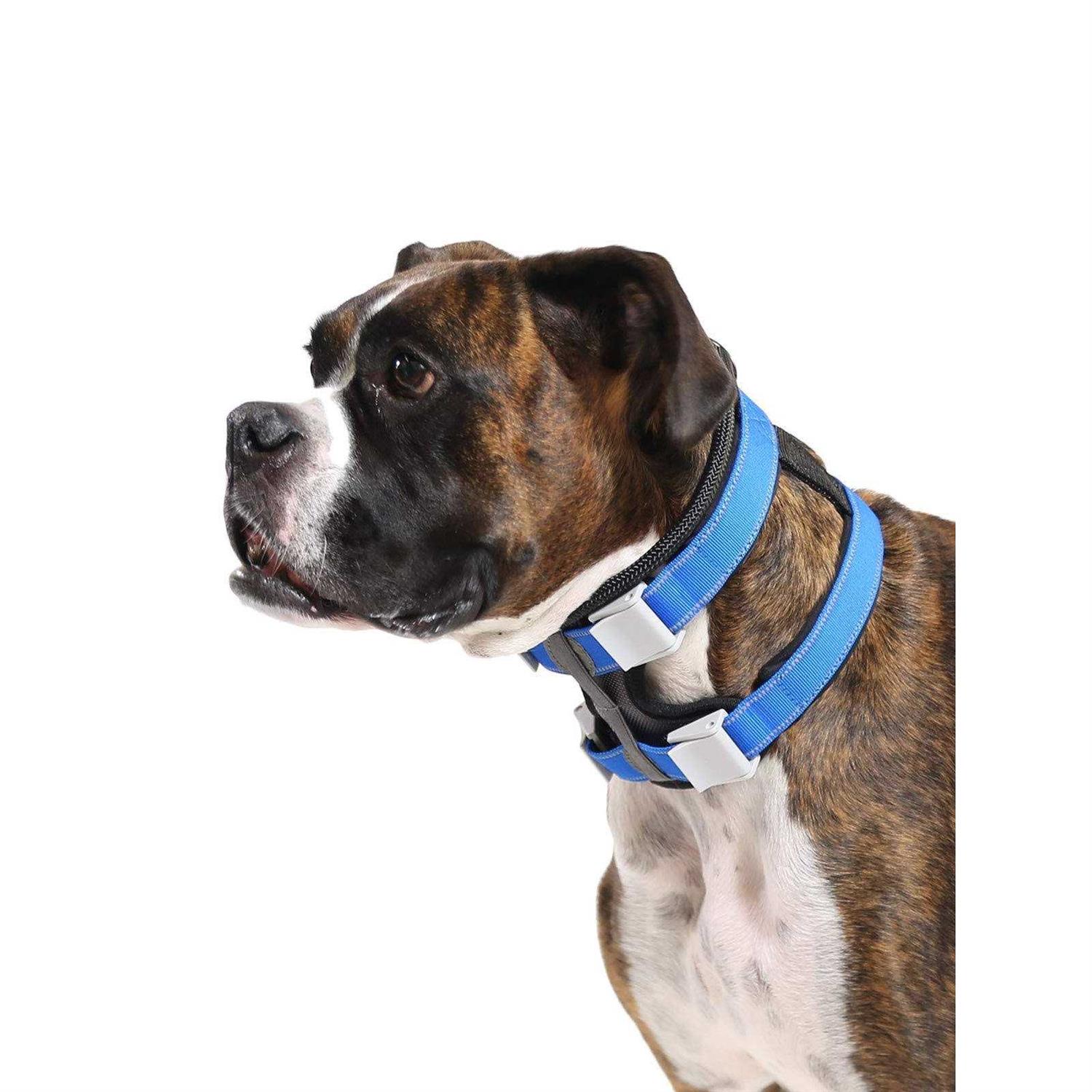 Cesar Millan Pack Leader Collar Training Collar of the Dog Whisperer