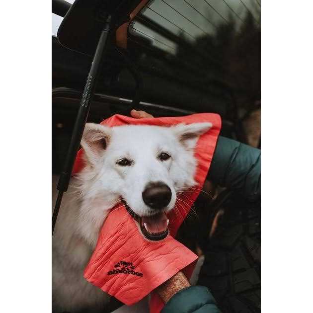 The Absorber Dog Lover’s Towel